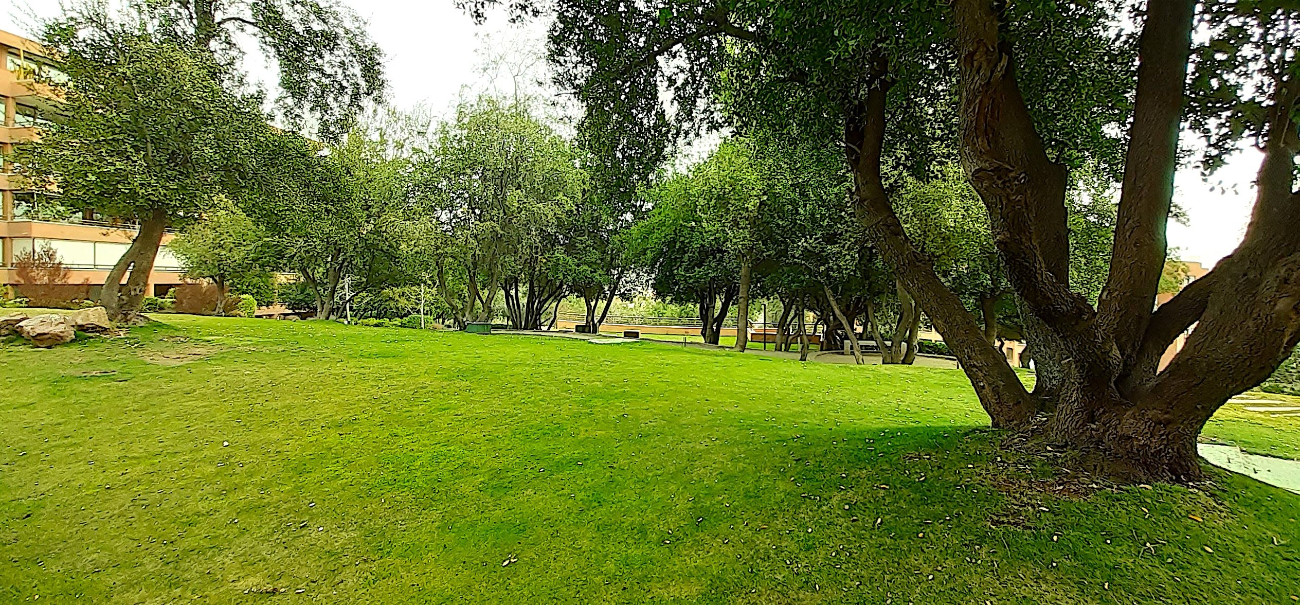 San Carlos de Apoquindo 